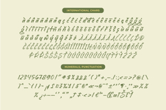 Brighten Shootters Modern Script Font Product Image 19