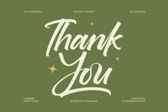 Brighten Shootters Modern Script Font Product Image 20