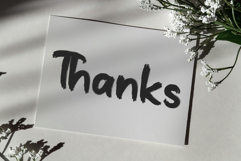 Brighter Brush Product Image 8