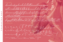 Brighters Silluetone - Handwritten Script Font Product Image 19