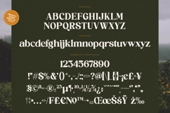 Brighto Wander - Groovy Serif Display Font Product Image 18