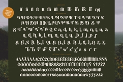 Brighto Wander - Groovy Serif Display Font Product Image 19