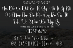 Brighty Sunday Product Image 6