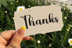 Brighty Sunday Product Image 8