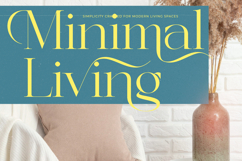 Briglo Shade - Elegant Thin Serif Font Product Image 4