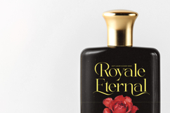 Briglo Shade - Elegant Thin Serif Font Product Image 6