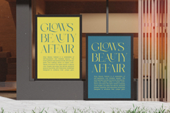 Briglo Shade - Elegant Thin Serif Font Product Image 9