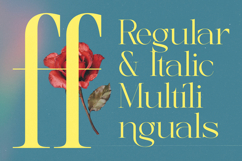 Briglo Shade - Elegant Thin Serif Font Product Image 10
