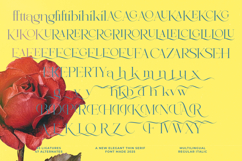 Briglo Shade - Elegant Thin Serif Font Product Image 13