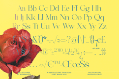 Briglo Shade - Elegant Thin Serif Font Product Image 14