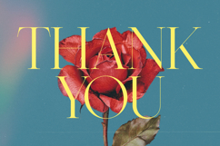 Briglo Shade - Elegant Thin Serif Font Product Image 15