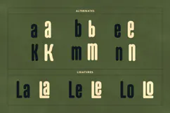 Briklans Round Condensed Display Sans Font Product Image 5