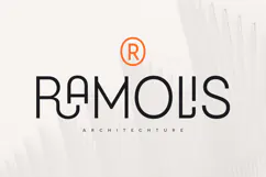 Brilliant - Modern Corporate Ligature Font Product Image 6
