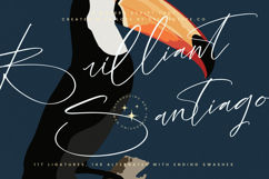Brilliant Santiago - Modern Script Font Product Image 1