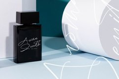 Brilliant Santiago - Modern Script Font Product Image 15