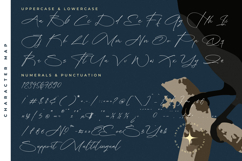 Brilliant Santiago - Modern Script Font Product Image 18