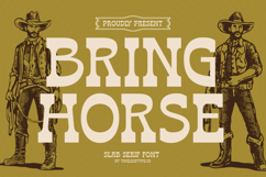 Bring Horse - Slab Serif Font Product Image 1