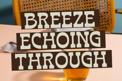 Bring Horse - Slab Serif Font Product Image 2