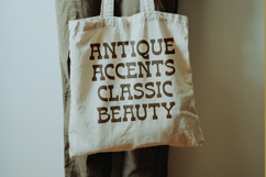 Bring Horse - Slab Serif Font Product Image 9