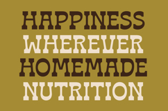 Bring Horse - Slab Serif Font Product Image 11