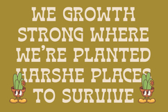 Bring Horse - Slab Serif Font Product Image 13