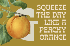 Bring Horse - Slab Serif Font Product Image 15