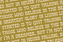 Bring Horse - Slab Serif Font Product Image 17