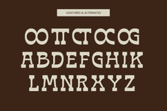 Bring Horse - Slab Serif Font Product Image 18