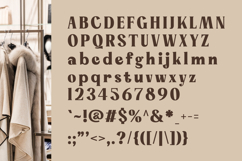 Bring Vacation - Decorative Editorial Serif for Branding Product Image 11