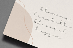 Bringelo Handwritten Font Product Image 11