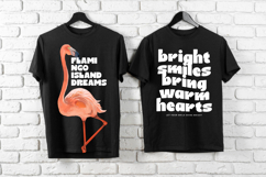 Brink Candy - Bold Display Font Product Image 3