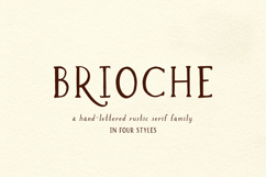 Brioche Serif Font Family Product Image 1
