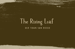 Brioche Serif Font Family Product Image 9