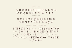 Brista - Elegant Serif Font Product Image 10