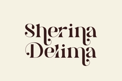 Brista - Elegant Serif Font Product Image 2