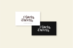 Brista - Elegant Serif Font Product Image 7