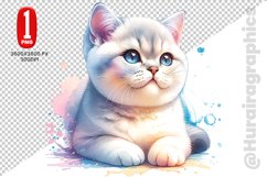 British Shorthair Cat Clipart - PNG File Product Image 1