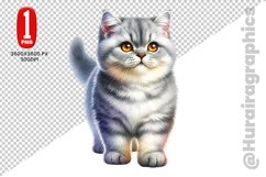 British Shorthair Clipart - PNG File Product Image 1