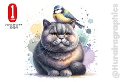 British Shorthair - JPG File Product Image 1