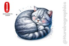 British Shorthair - JPG File Product Image 1