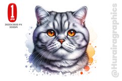 British Shorthair - JPG File Product Image 1