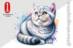 British Shorthair Clipart - PNG File Product Image 1