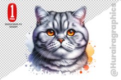 British Shorthair Clipart - PNG File Product Image 1