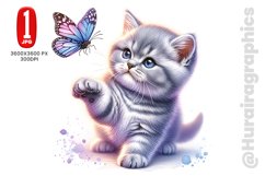 British Shorthair - JPG File Product Image 1