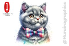 British Shorthair - JPG File Product Image 1