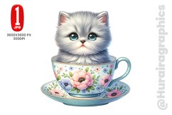 British Shorthair - JPG File Product Image 1