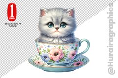 British Shorthair Clipart - PNG File Product Image 1