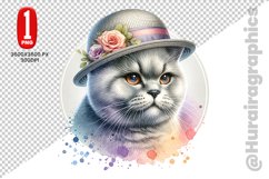 British Shorthair Clipart - PNG File Product Image 1