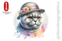 British Shorthair - JPG File Product Image 1