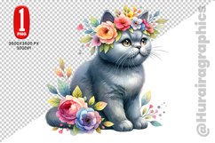 British Shorthair Clipart - PNG File Product Image 1